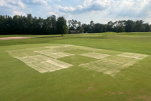 Turfgrass Research